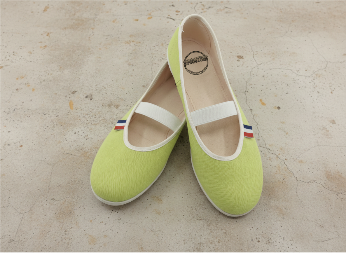 Canvas Gym Flats